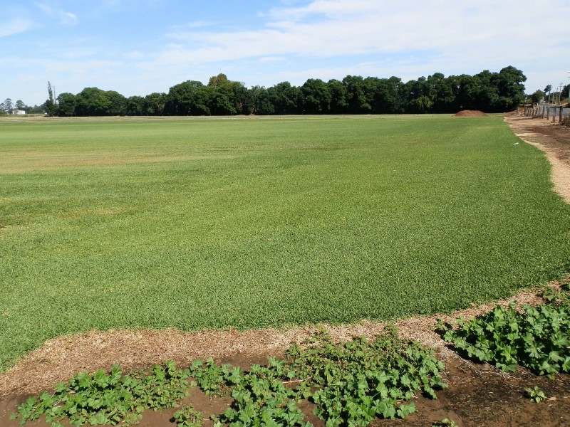 112 Freemans Reach Road, Freemans Reach NSW 2756