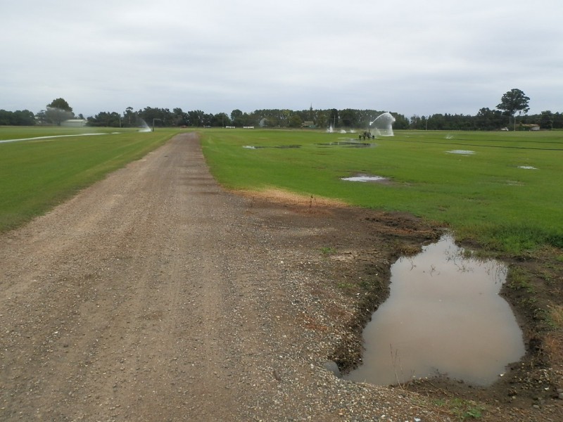 112 Freemans Reach Road, Freemans Reach NSW 2756