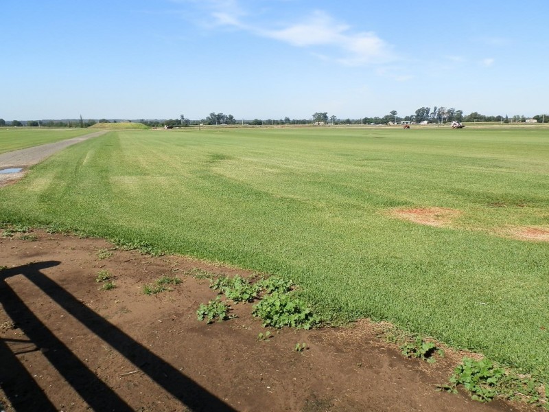 112 Freemans Reach Road, Freemans Reach NSW 2756