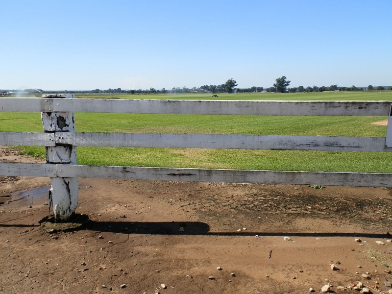 112 Freemans Reach Road, Freemans Reach NSW 2756