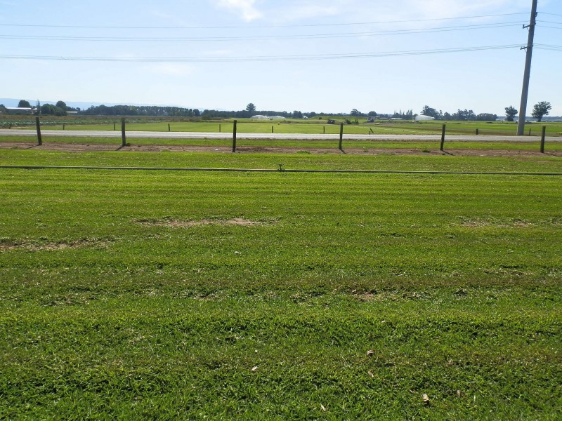 107 Wilberforce Road, Wilberforce NSW 2756