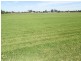147 Wilberforce Road, Wilberforce NSW 2756