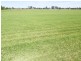 147 Wilberforce Road, Wilberforce NSW 2756