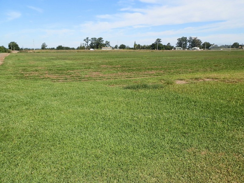 147 Wilberforce Road, Wilberforce NSW 2756