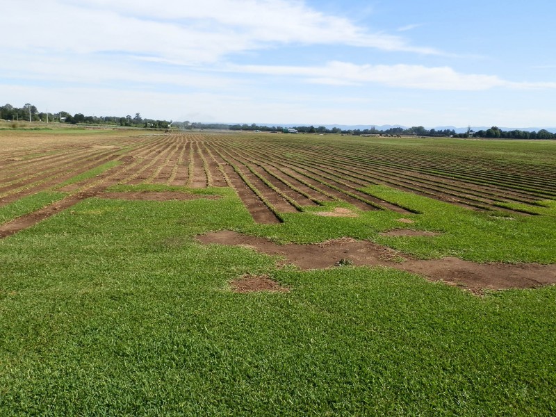 147 Wilberforce Road, Wilberforce NSW 2756