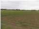 135 Argyle Reach Rd, Wilberforce NSW 2756
