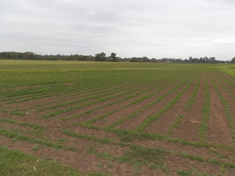 135 Argyle Reach Rd, Wilberforce NSW 2756