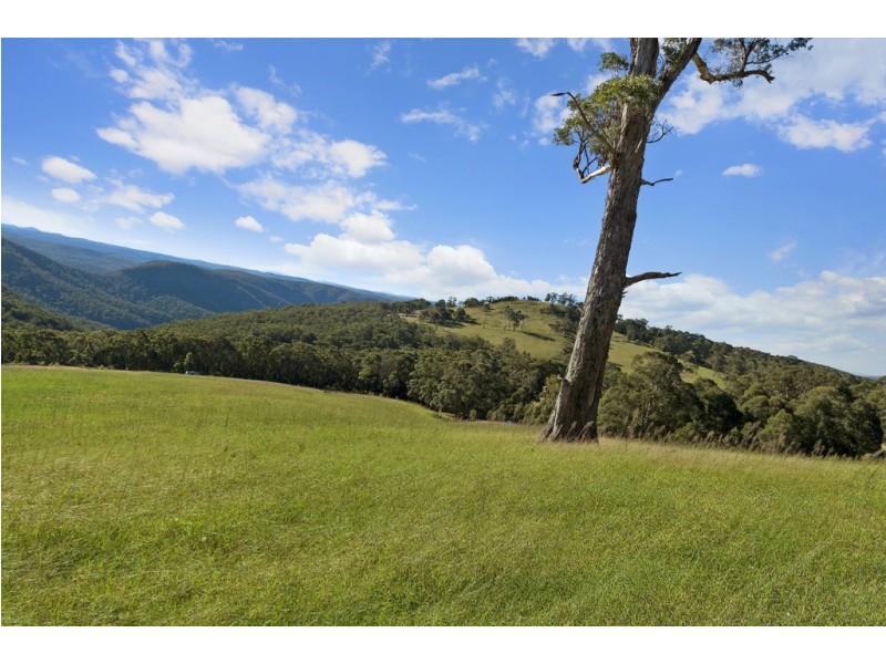 388E Mount Tootie Road, Bilpin NSW 2758