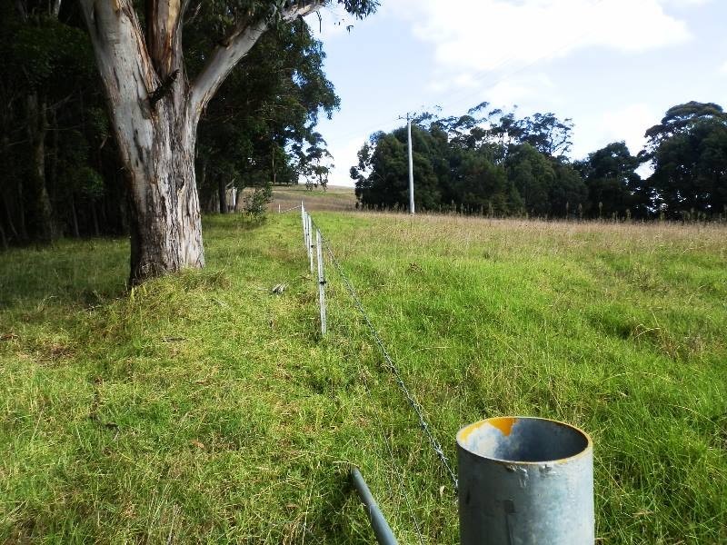 388E Mount Tootie Road, Bilpin NSW 2758