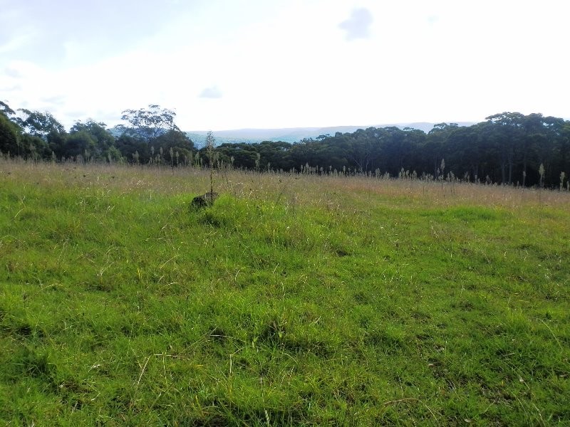 388E Mount Tootie Road, Bilpin NSW 2758