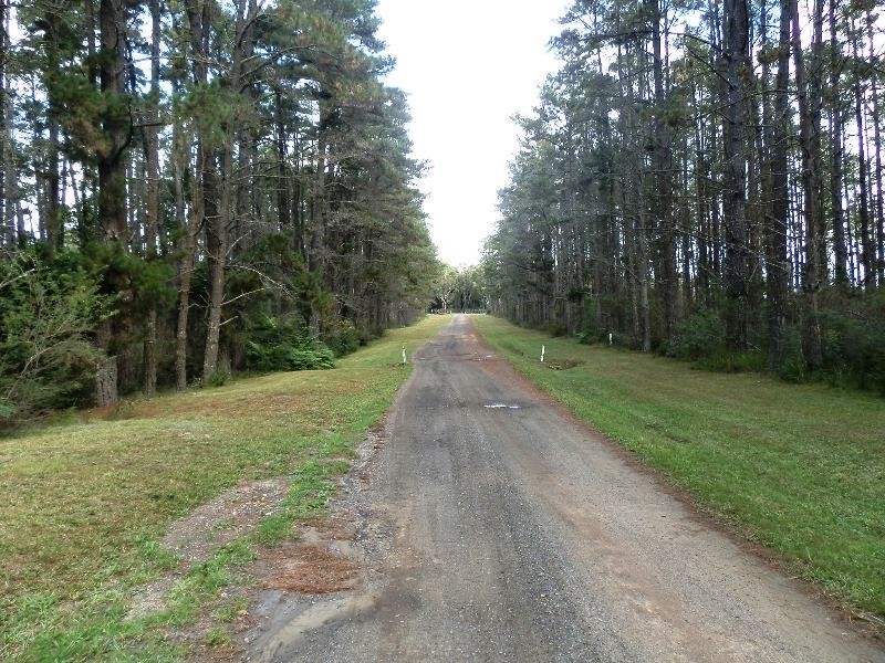 388E Mount Tootie Road, Bilpin NSW 2758