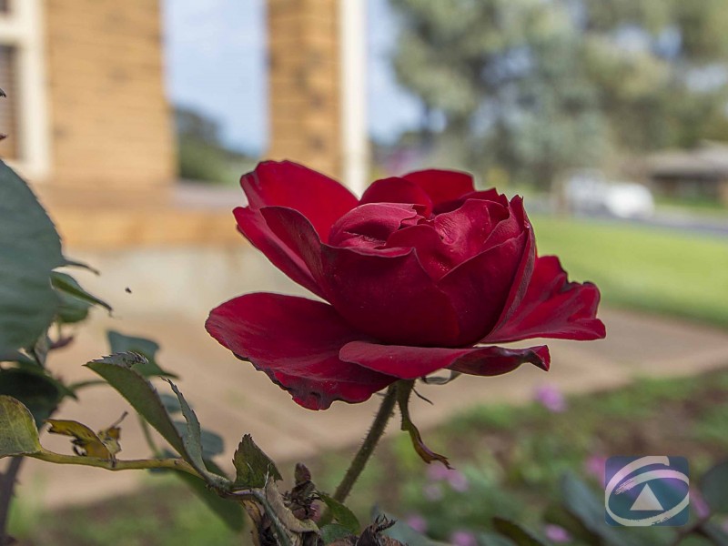 28. Konanda Road, Munno Para SA 5115