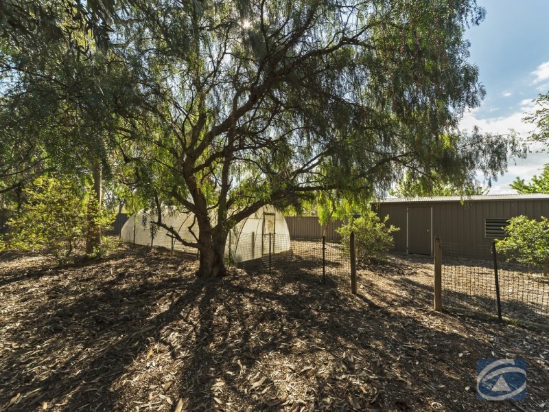 20 Max Fatchen Drive, Angle Vale SA 5117