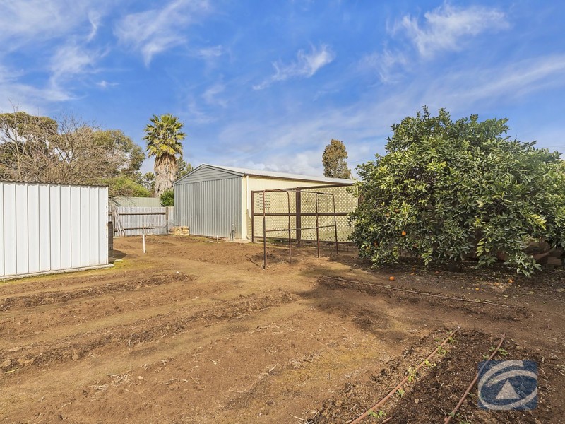 22 Magnolia Street, Tanunda SA 5352