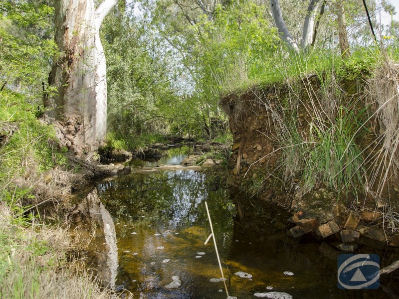 156 Woodlands Road, Cockatoo Valley SA 5351