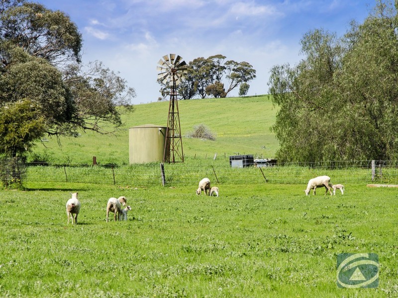 156 Woodlands Road, Cockatoo Valley SA 5351