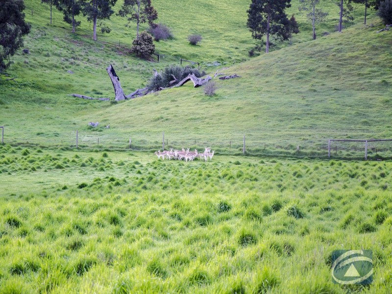 156 Woodlands Road, Cockatoo Valley SA 5351