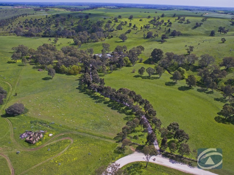 156 Woodlands Road, Cockatoo Valley SA 5351