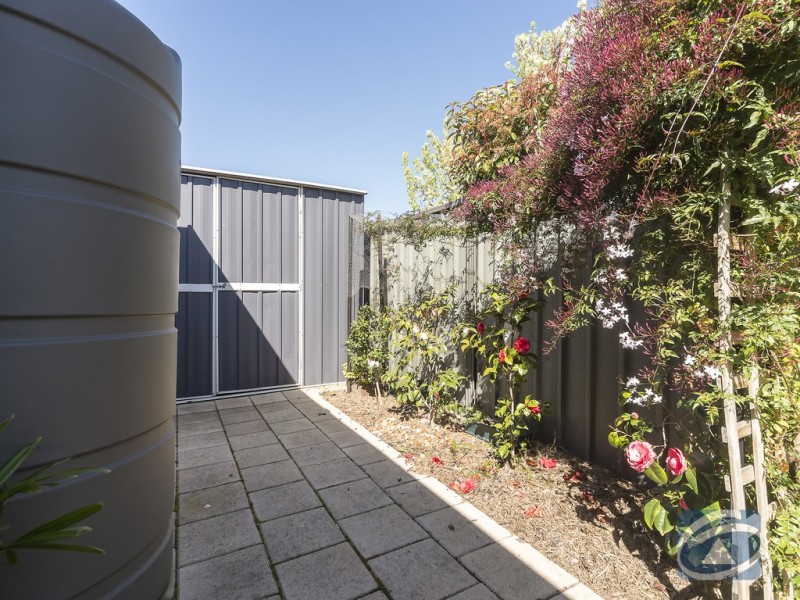 12 Pinot Crescent, Nuriootpa SA 5355