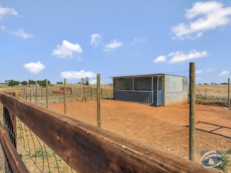 11 Wasleys Road, Wasleys SA 5400