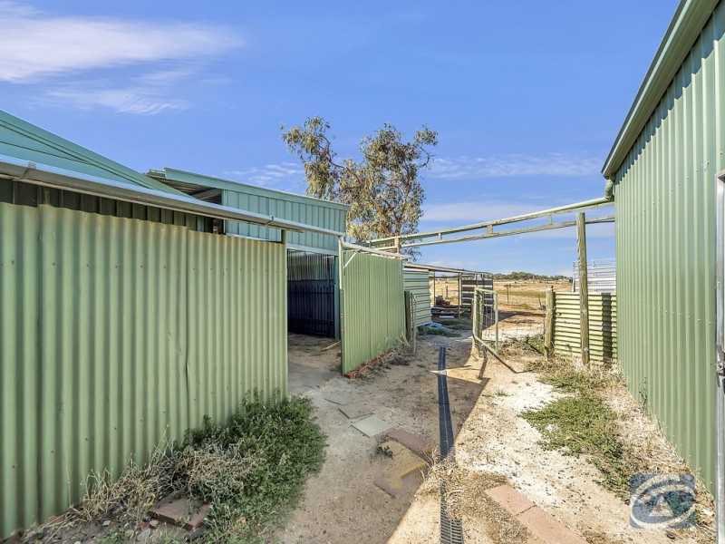 Lot 315, 20 Halstead Road West, Two Wells SA 5501