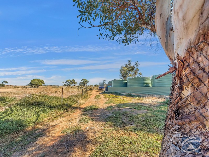 Lot 315, 20 Halstead Road West, Two Wells SA 5501