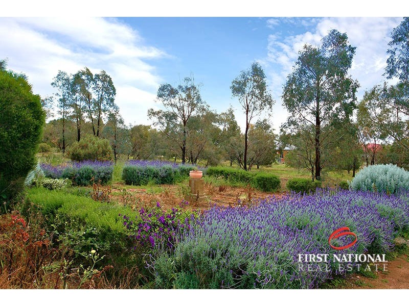 21 Atyeo Road, Gawler Belt SA 5118