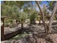 184 Pimpala Road, Cockatoo Valley SA 5351
