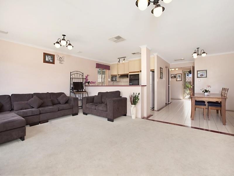 13 Insignia Avenue, Andrews Farm SA 5114