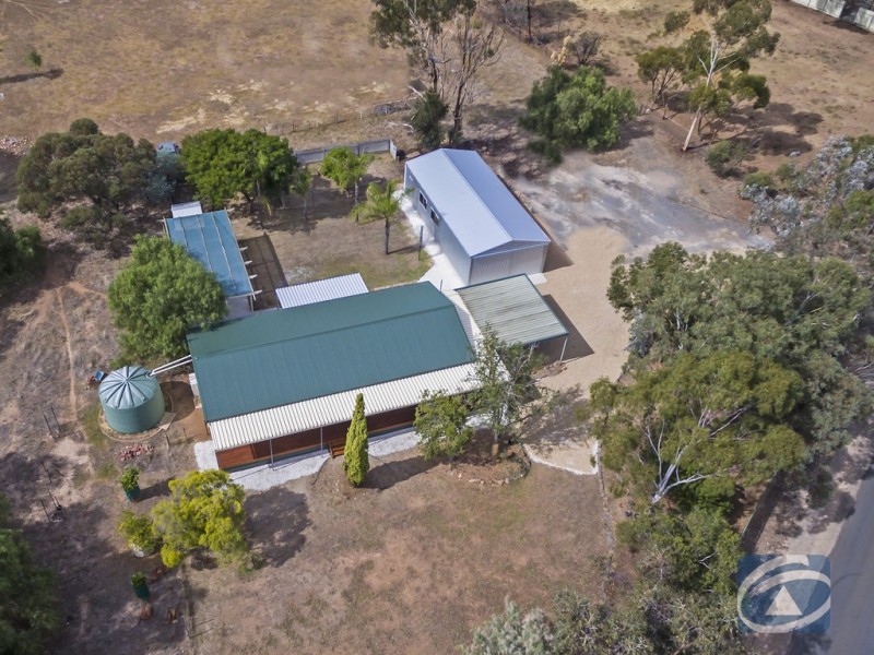 16 Harniman Road, Lewiston SA 5501