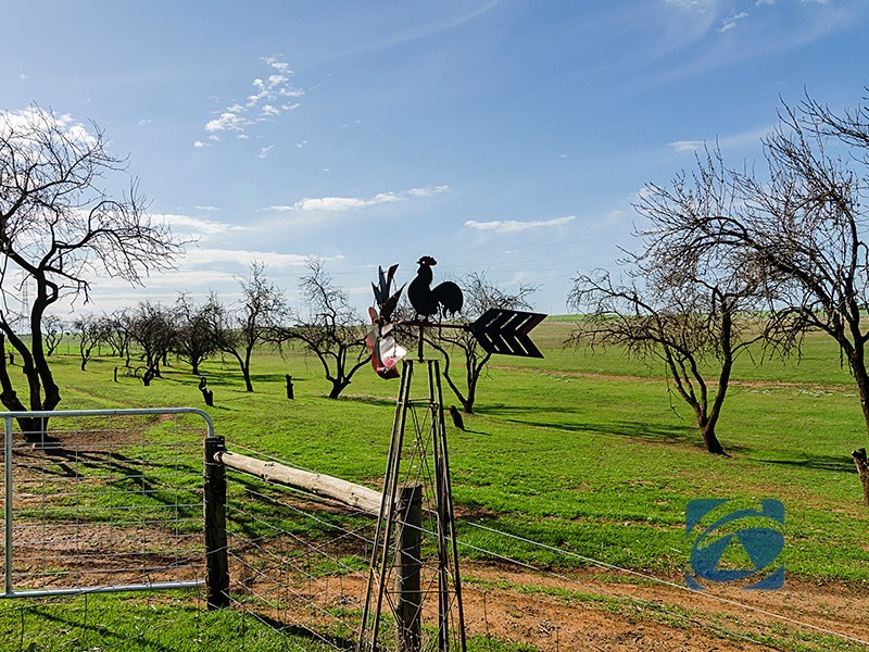 550 Templers Road, Templers SA 5371