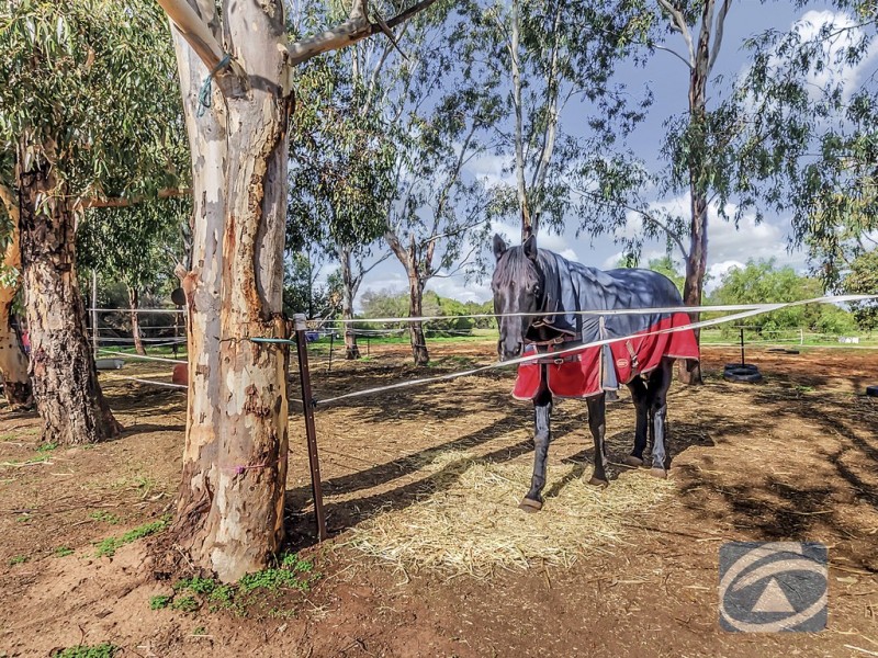 4 Hancock Drive, Lewiston SA 5501