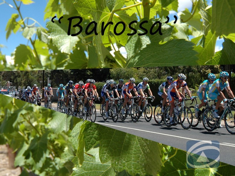 58 Murray Street, Tanunda SA 5352