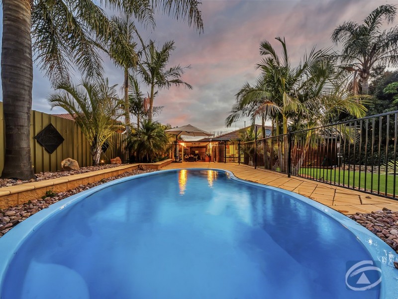 5 Williams Street, Evanston Park SA 5116