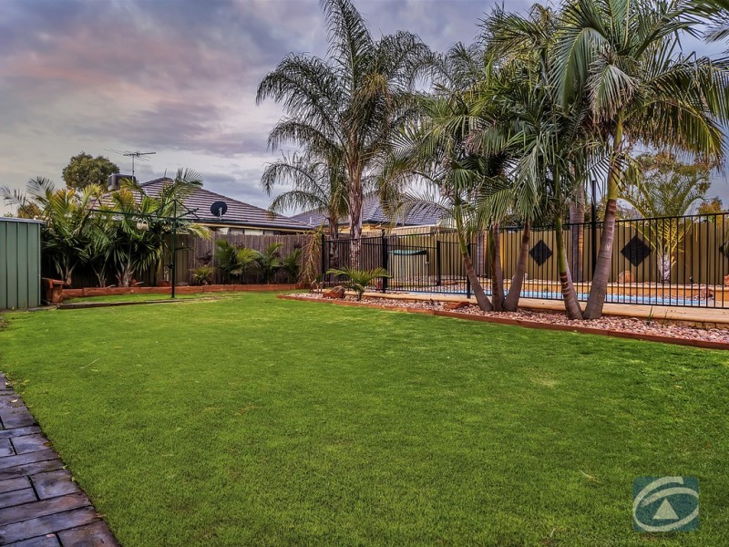 5 Williams Street, Evanston Park SA 5116