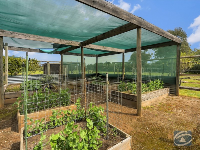 11 Ward Belt Road, Gawler Belt SA 5118