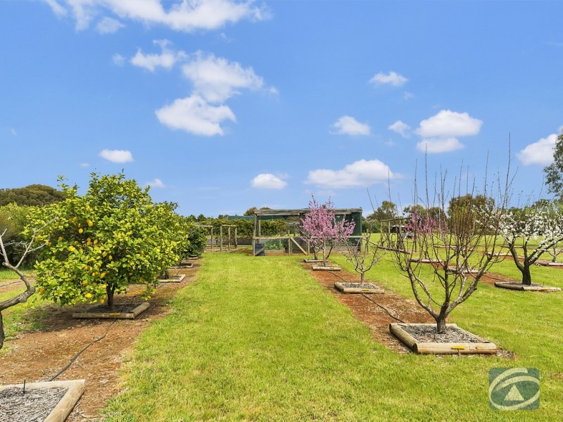 11 Ward Belt Road, Gawler Belt SA 5118