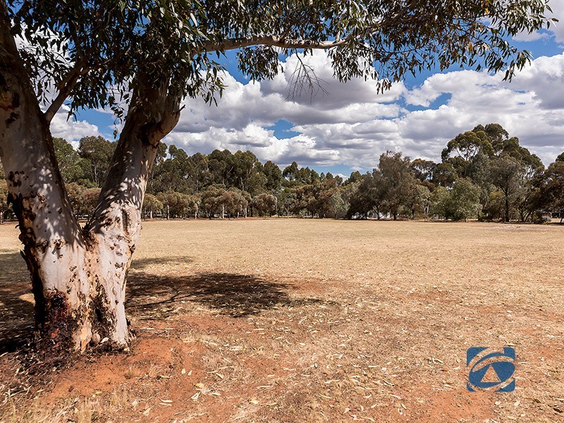 16 Peppermint Drive, Gawler Belt SA 5118