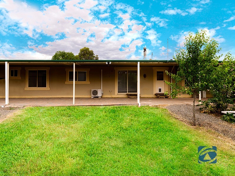 16 Schaefer Street, Freeling SA 5372