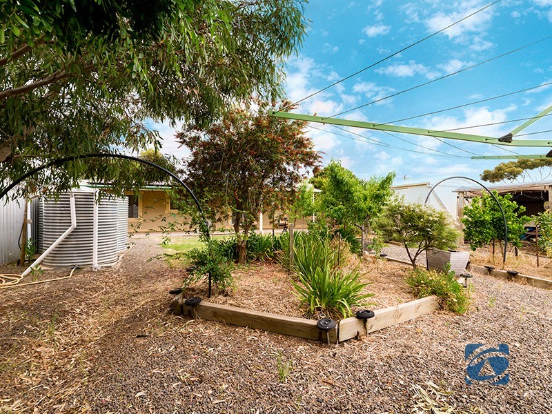 16 Schaefer Street, Freeling SA 5372