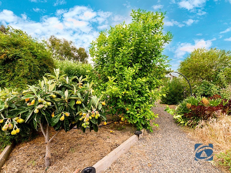 16 Schaefer Street, Freeling SA 5372