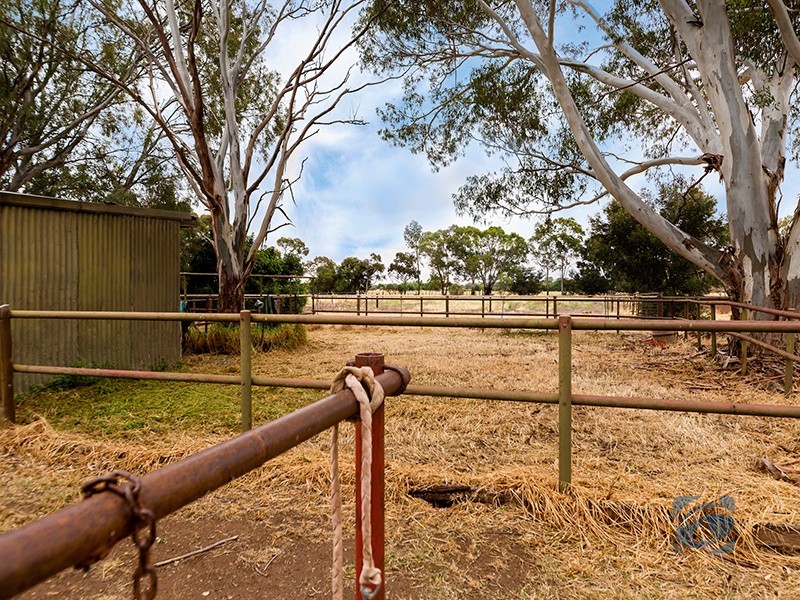 90 Wingate Road, Hillier SA 5116