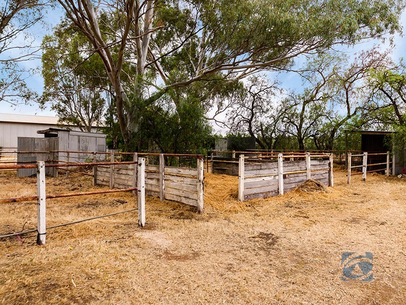 90 Wingate Road, Hillier SA 5116