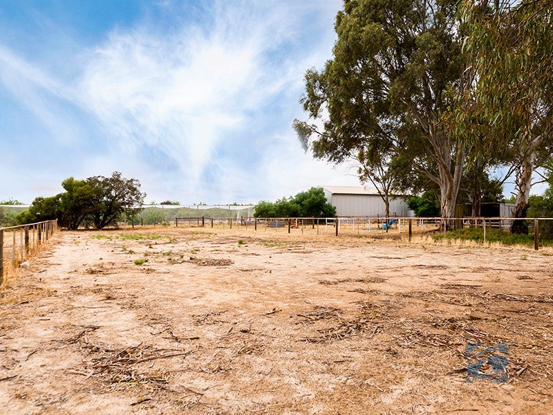 90 Wingate Road, Hillier SA 5116