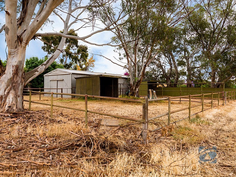 90 Wingate Road, Hillier SA 5116