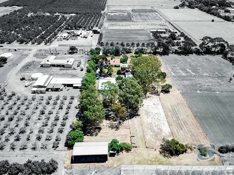 90 Wingate Road, Hillier SA 5116