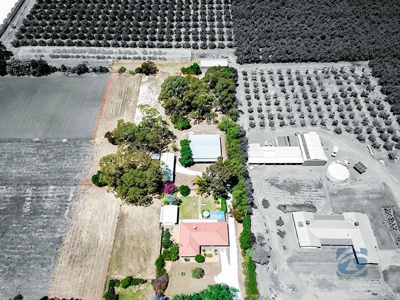 90 Wingate Road, Hillier SA 5116