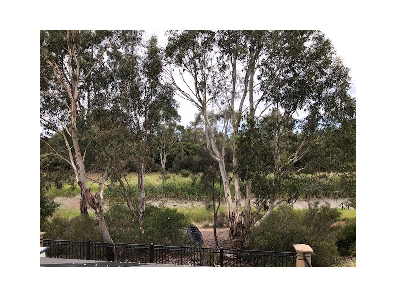 78 Sanctuary Dve, Mawson Lakes SA 5095