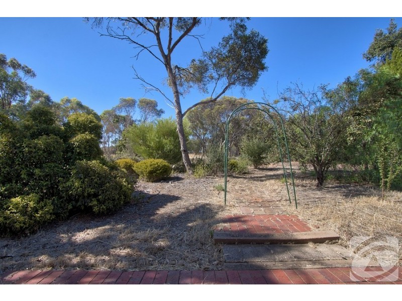 8 Lionel Road, Lewiston SA 5501