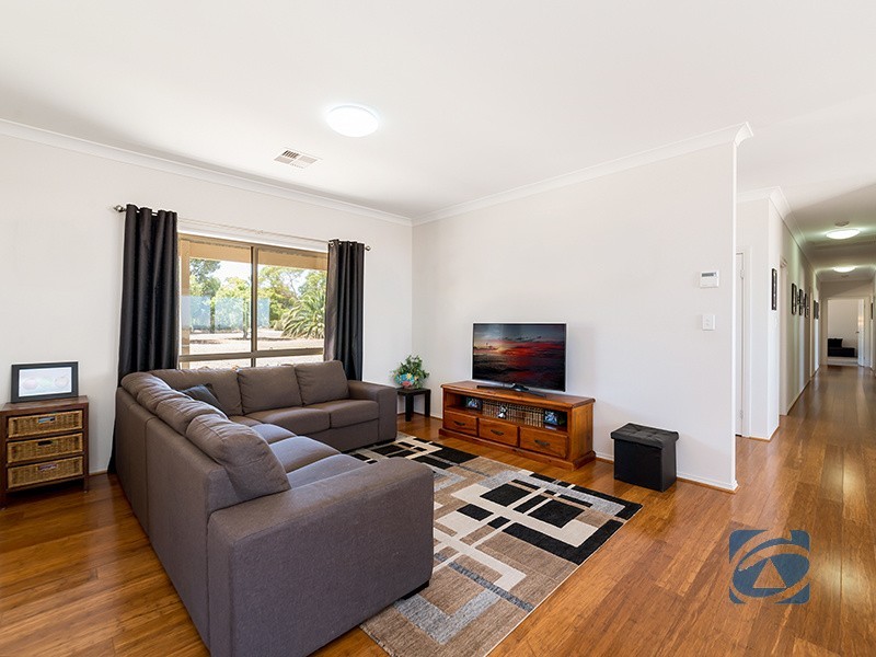 19 Schaefer Street, Freeling SA 5372